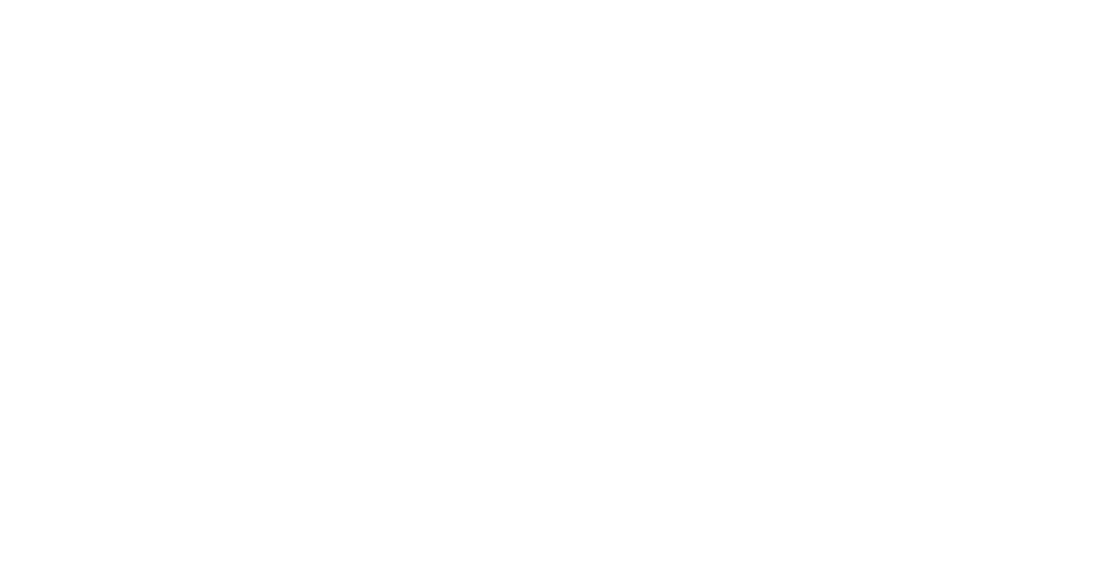 MEO Logo